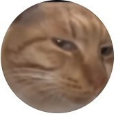 Iлля